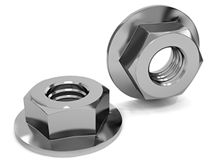 Stainless Steel Flanged Nuts Manufacturers
